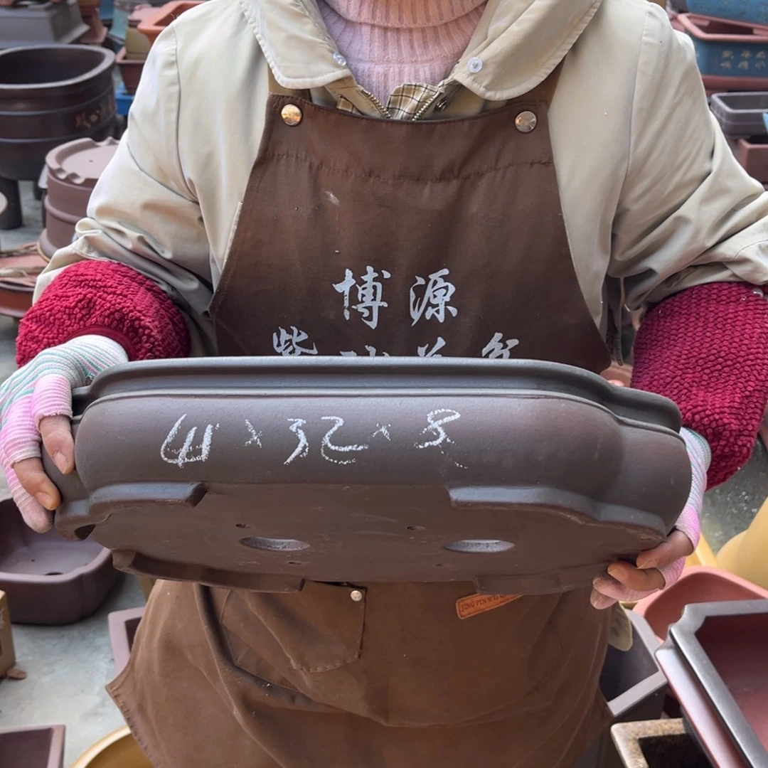 花盆紫砂盆景艺术