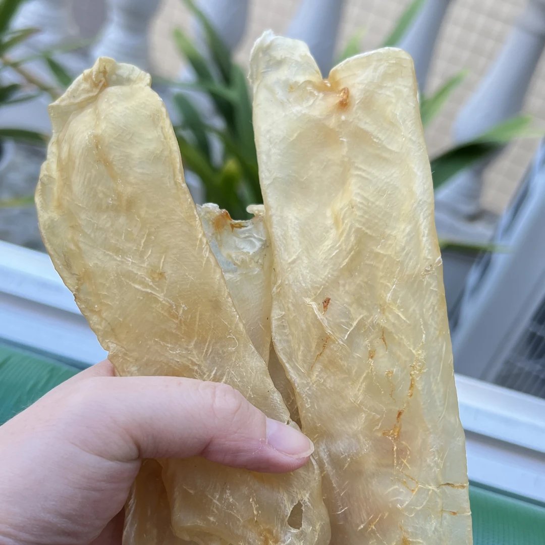 广东南澳   佐罗胶   一斤约35头