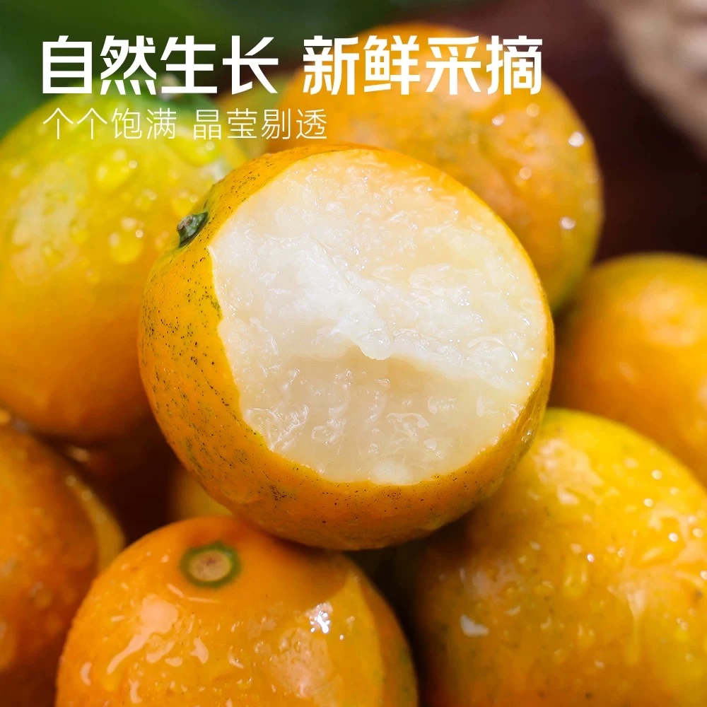 【东日农都鲜果达XX】金橘口口爆汁送礼必选