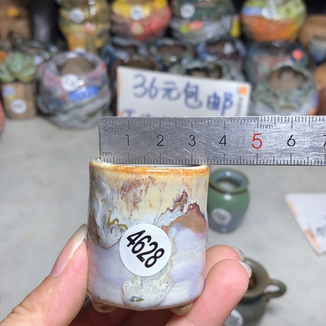 拍5送一个小礼物