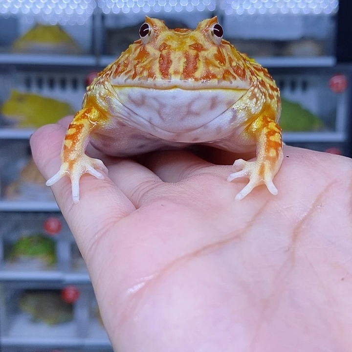 特价秒杀现货特价