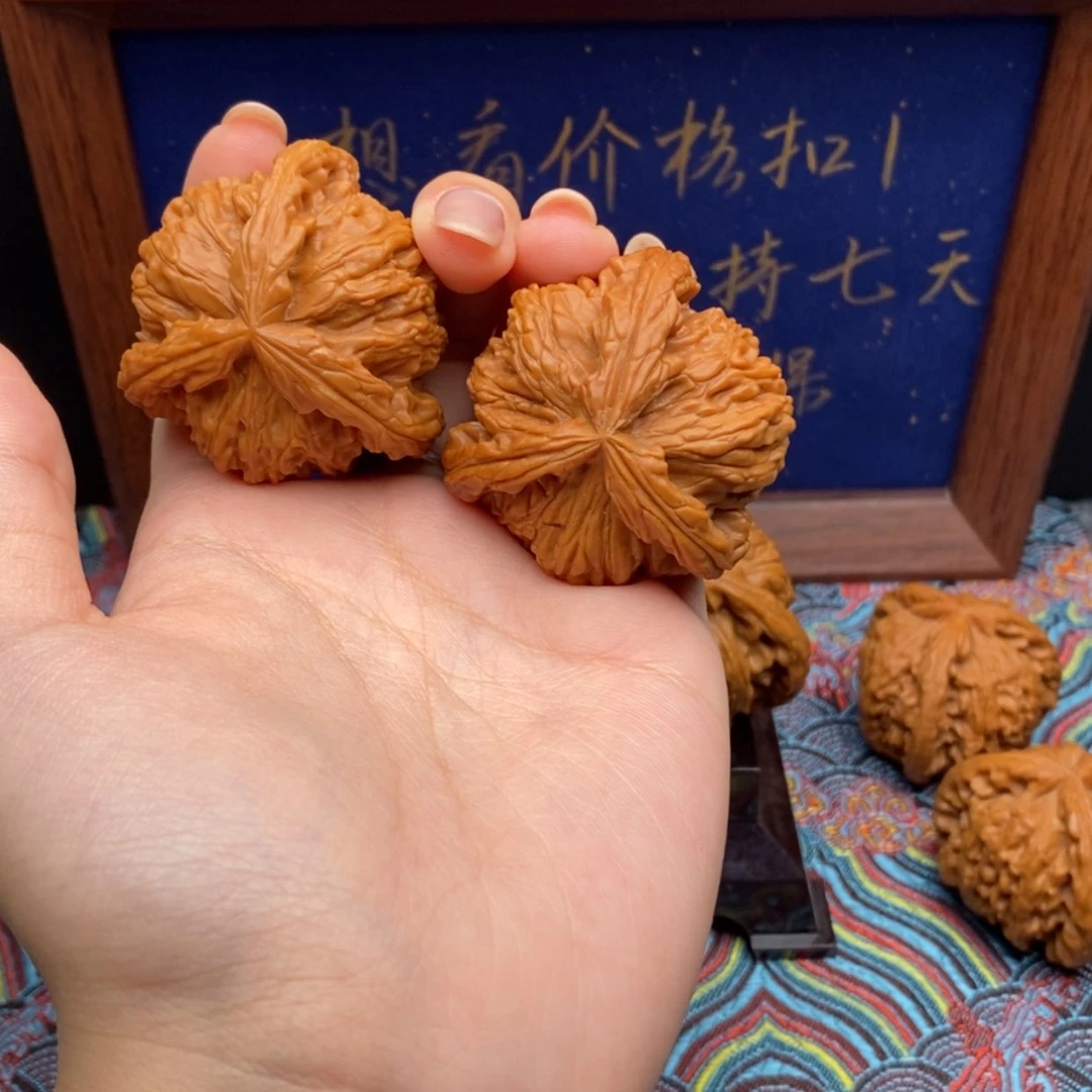 【闪购商品】馨**足白狮