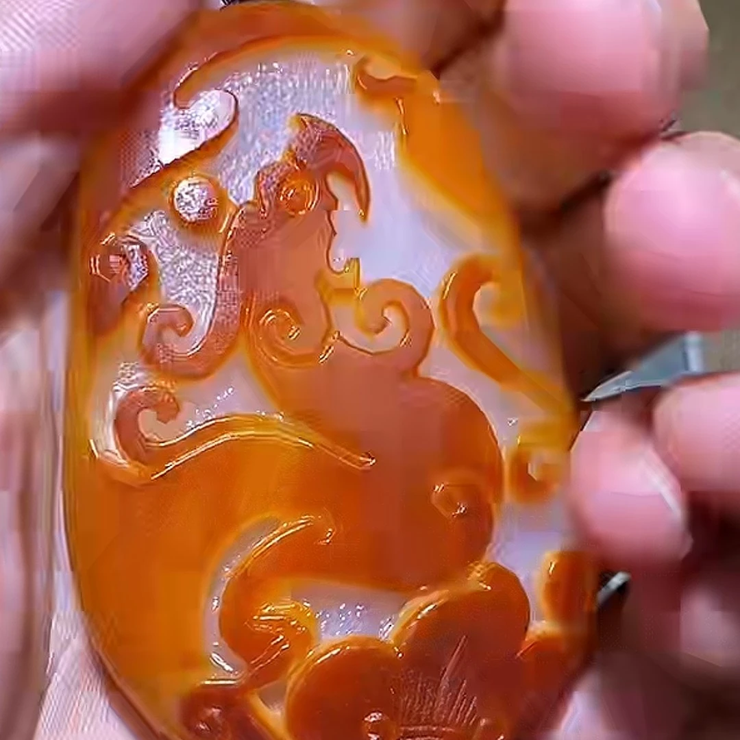 石包多样性拍一发一12月2日 A7