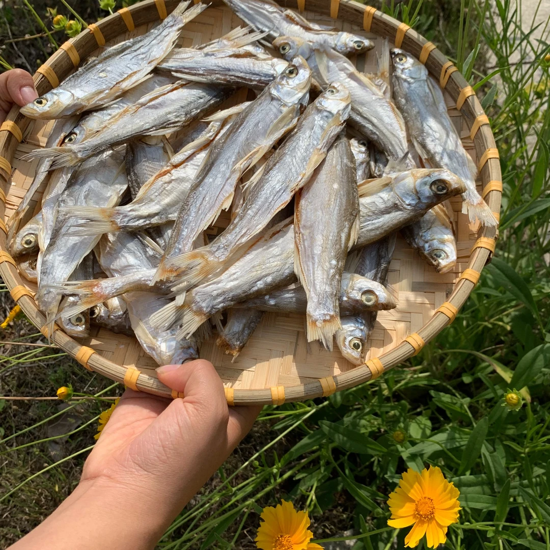 社渚农家精品刁子鱼干自然晾干好吃无添加