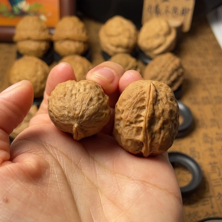 云南野生铁核桃编号28