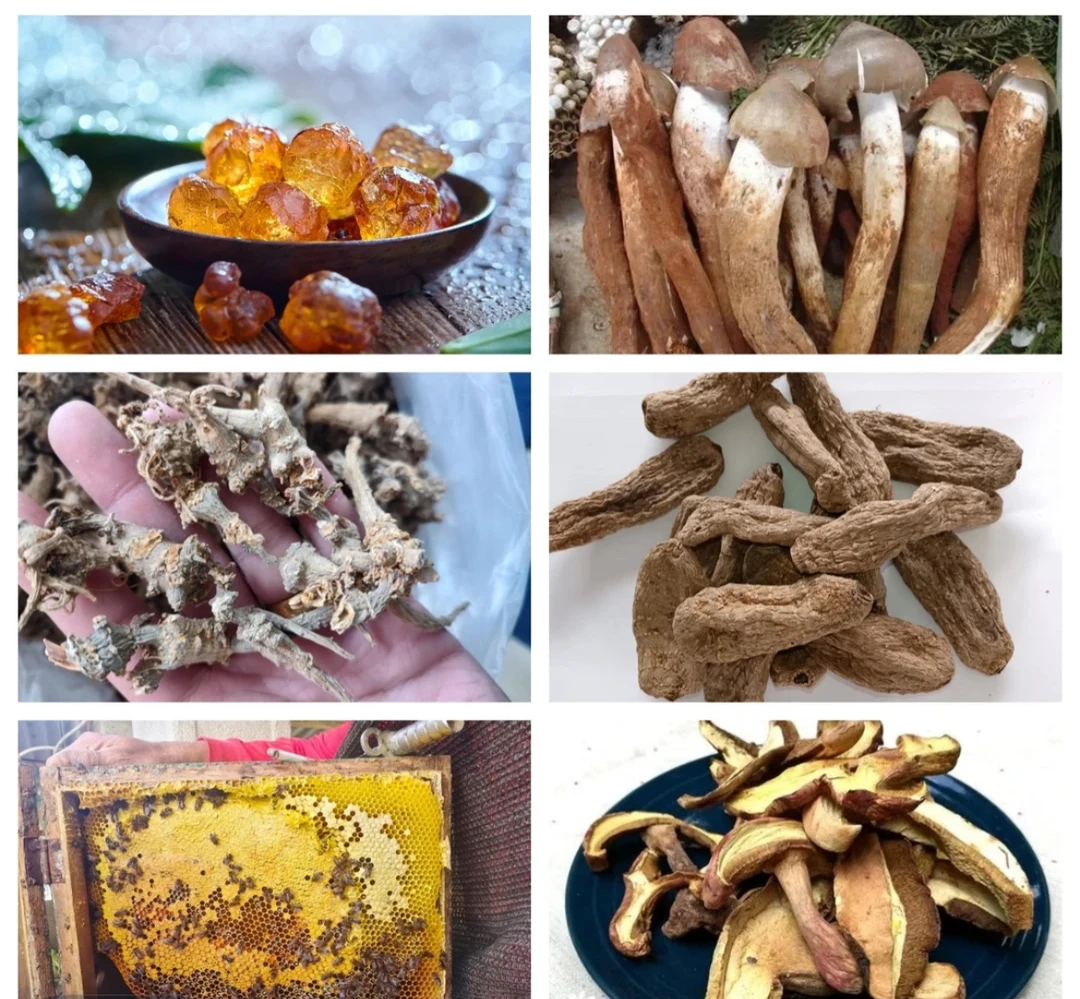 云南山货代购临时链接非香菇