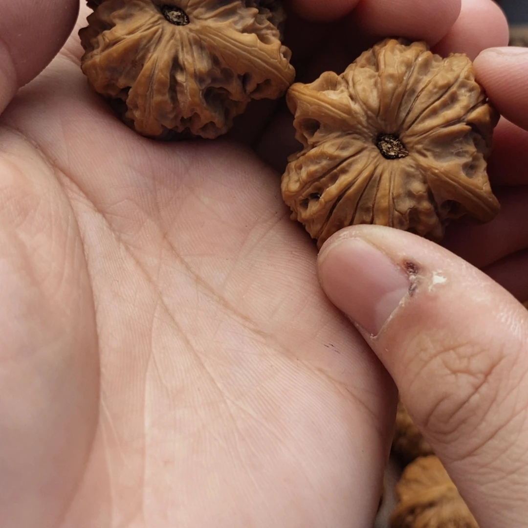 文玩核桃吊坠血麒麟