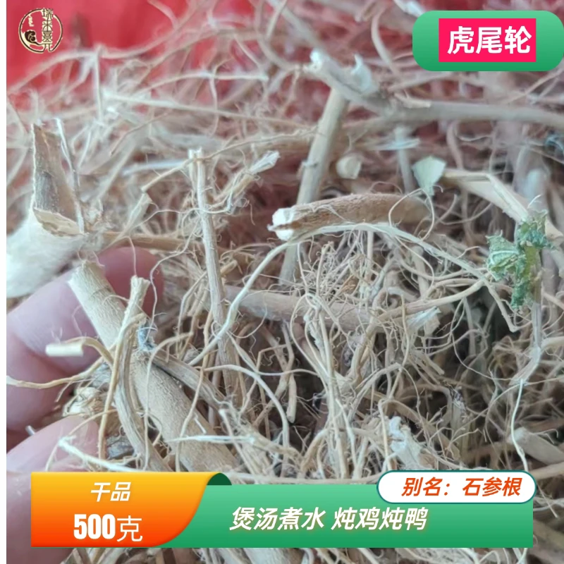 福建虎尾轮石参根煲鸡汤煮水喝干品包邮