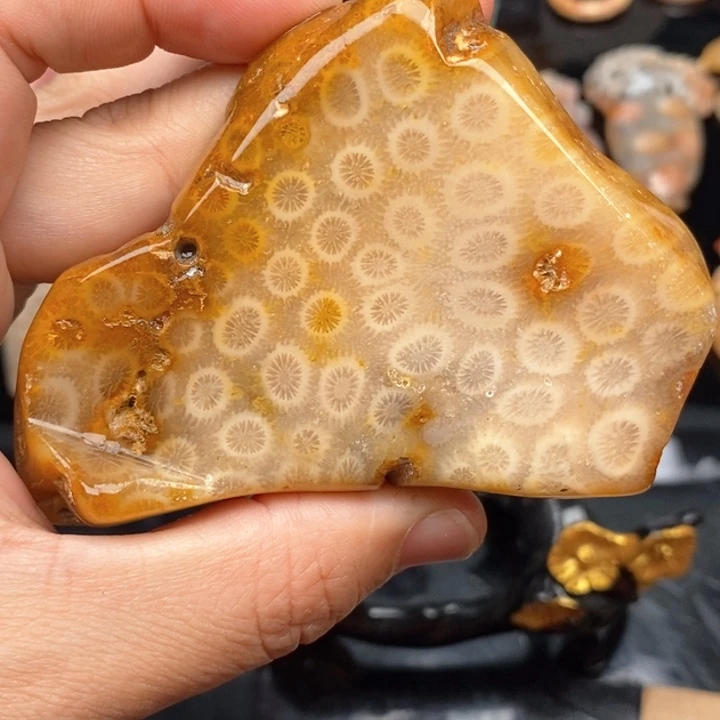 硅化珊瑚（珊瑚玉）手镯未镶嵌