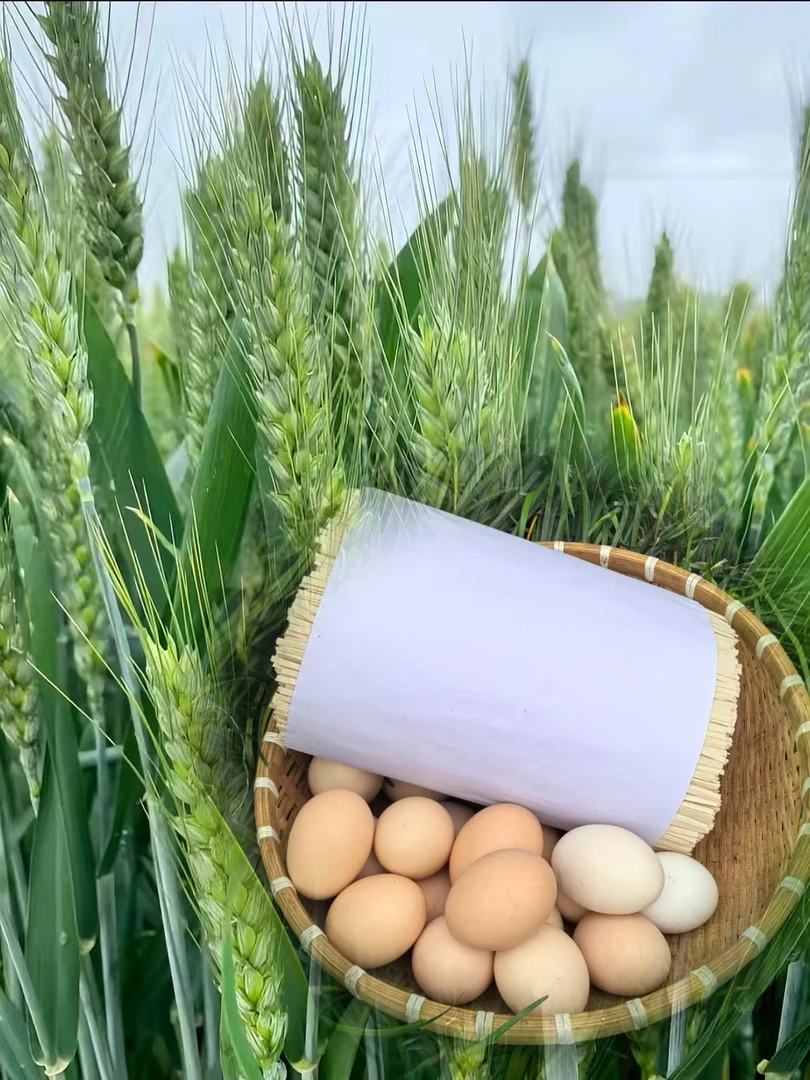 2025年新收小麦，健康无添加农家小磨坊鸡蛋面