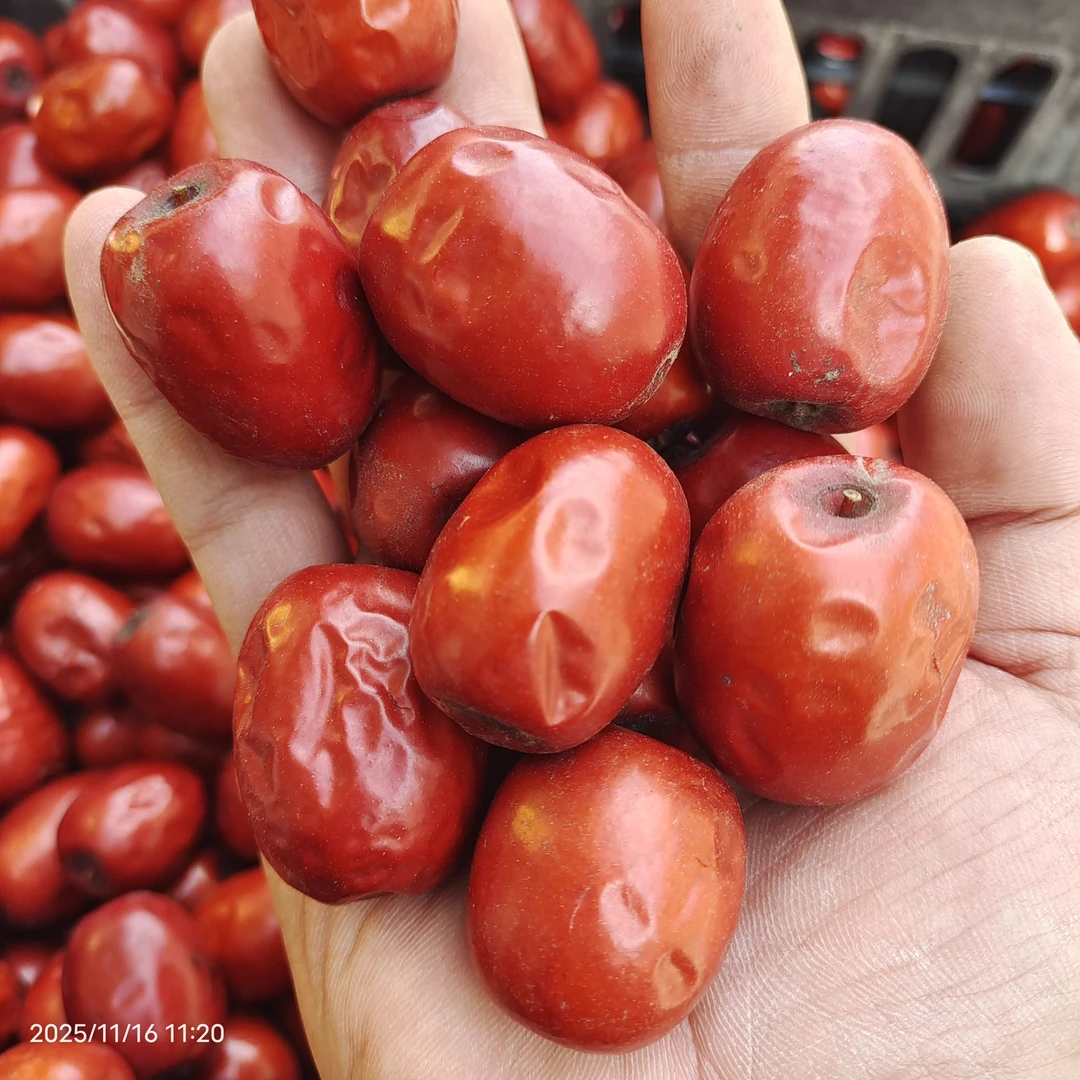 小峰甄选农家糖心枣 陕北黄河滩枣 大红枣 油枣全国包邮