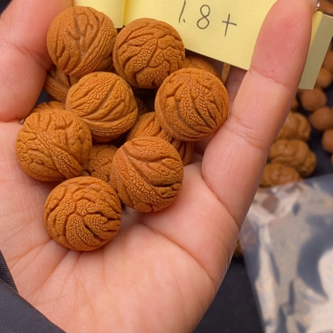 秦岭龙纹桃核14颗