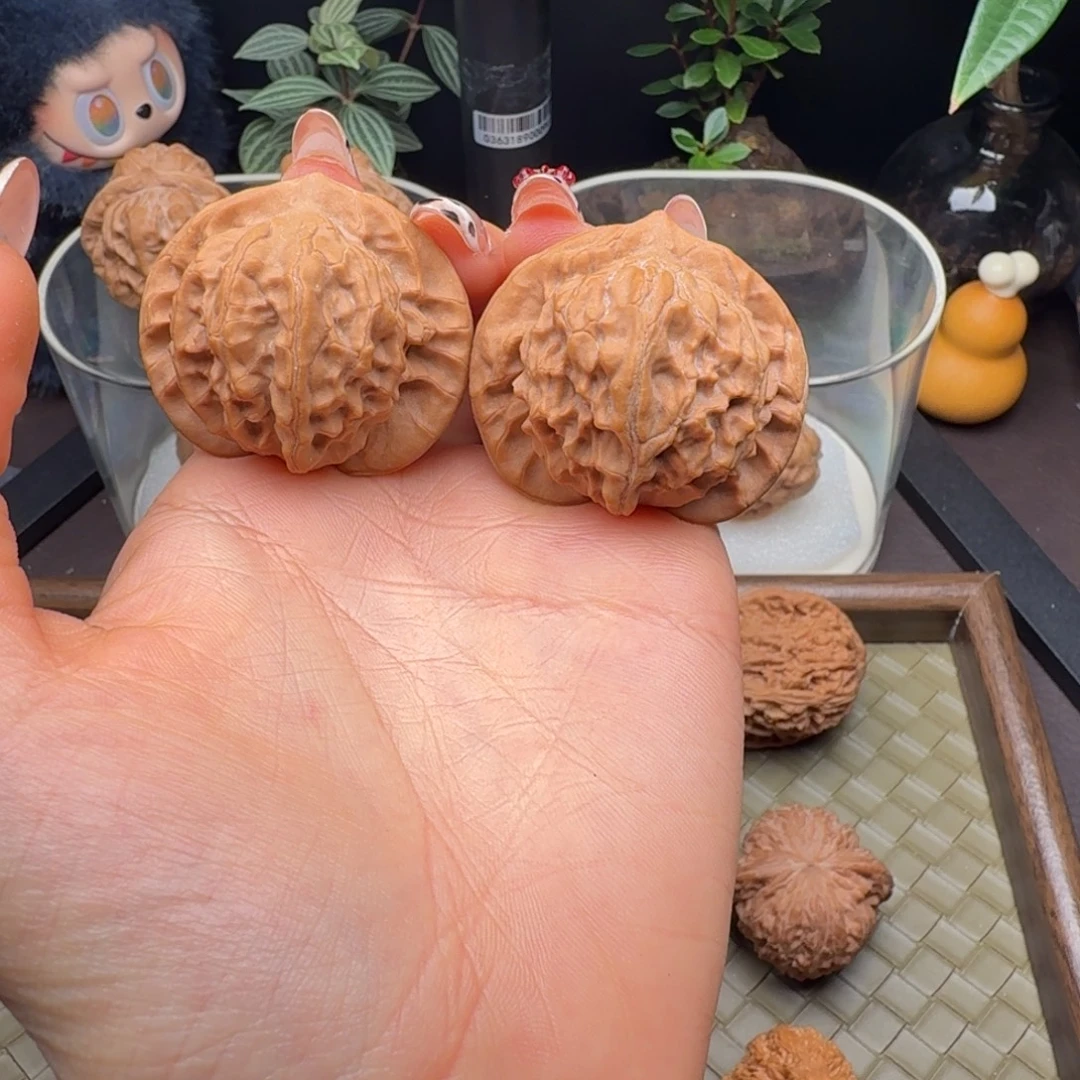 把件龙脊菩提全品图图42