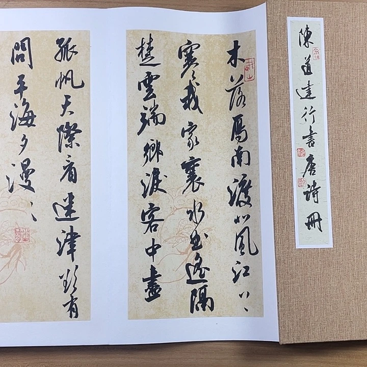 书法中书协老师作品