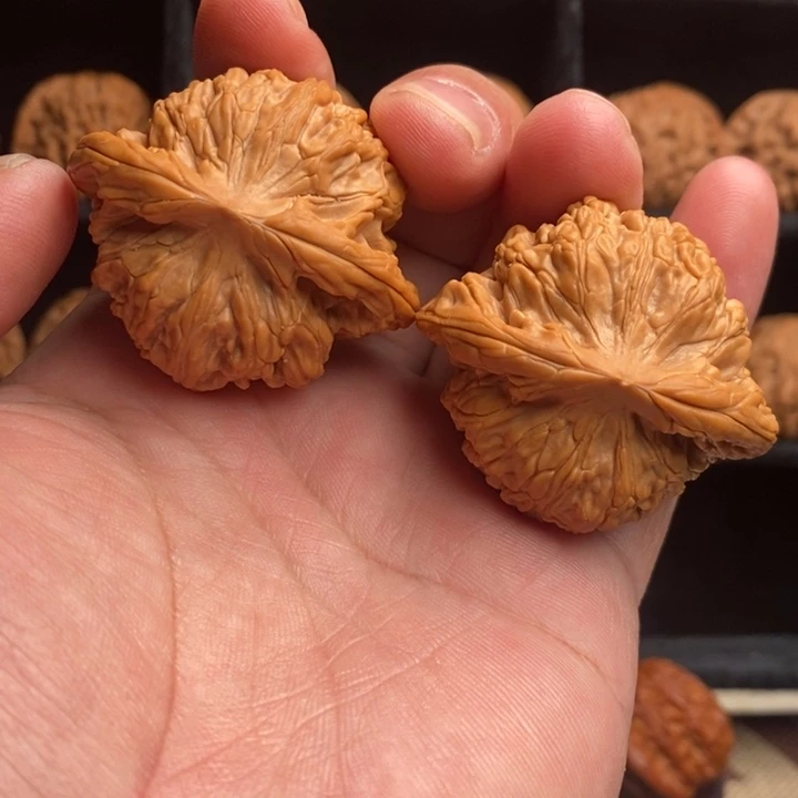 全品小众望月45尺寸