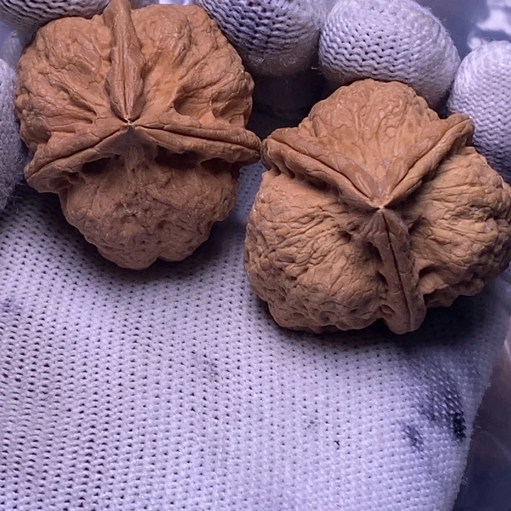 吊坠文玩核桃云南铁核桃炸福利69号