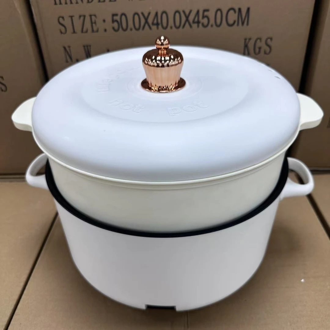 Lz家用双层电炒锅颜色随机