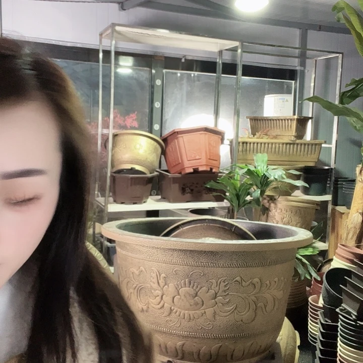83花盆6个73花盆2个