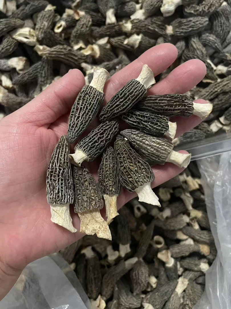 88羊肚菌干货 头茬