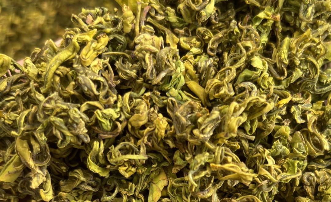 2025年新茶 手工黄金芽 小叶收茶  罐装