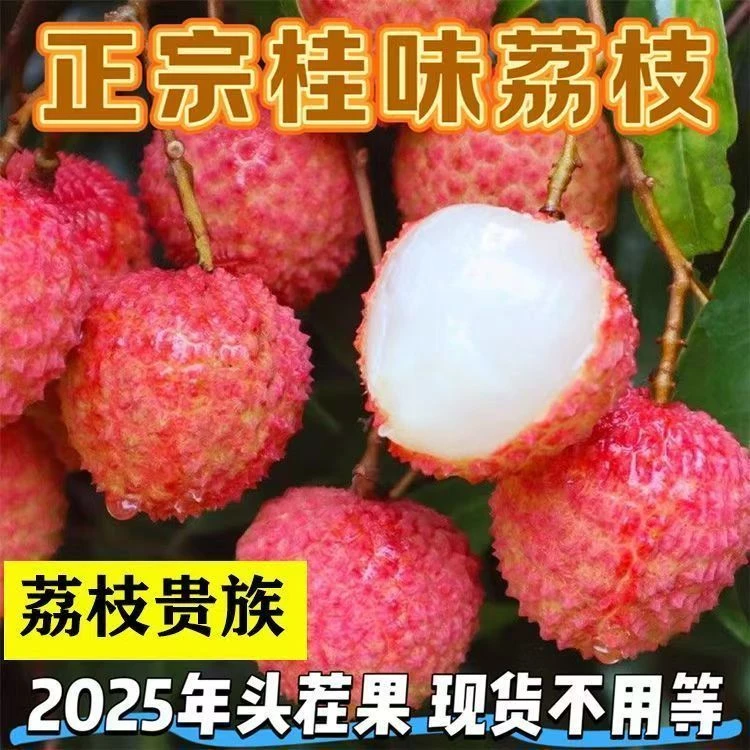 （顺丰京东冷链）桂味荔枝现摘现发香甜爆汁核小肉多新鲜应季水果