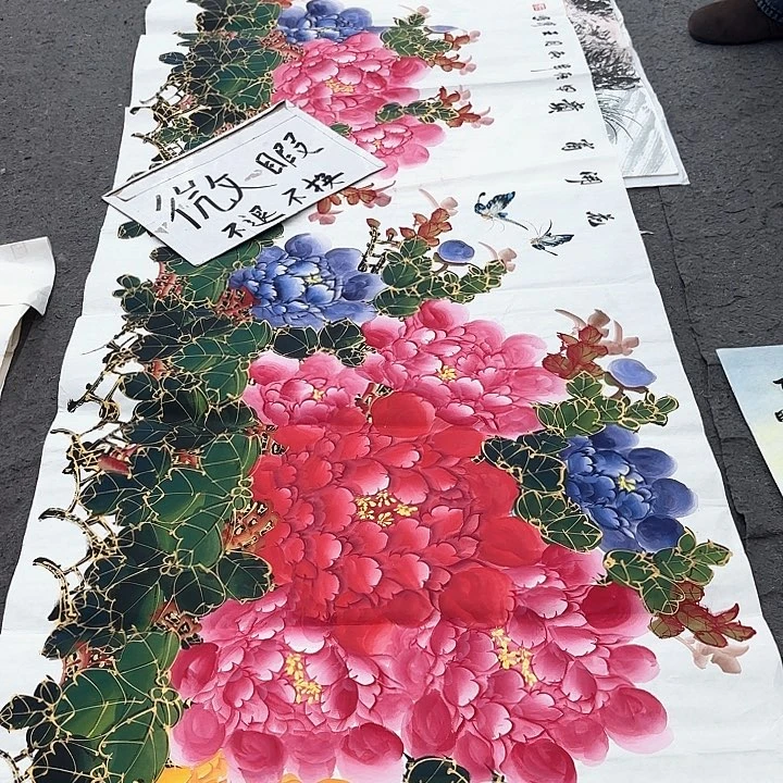 国画无毛和被绒毛或被