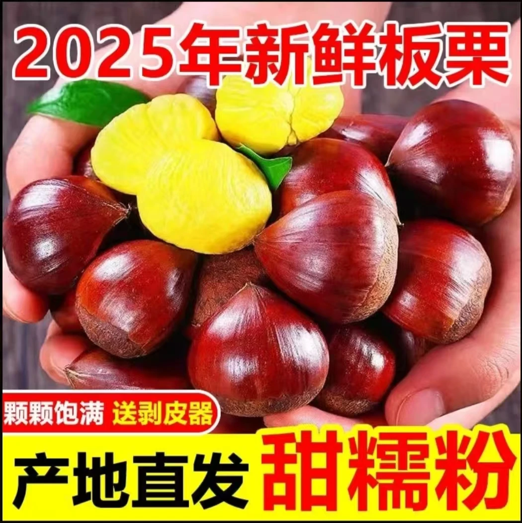 【净重5斤】防闷坏蛇皮袋打包深山老树新鲜板栗生栗子粉糯鲜香饱满