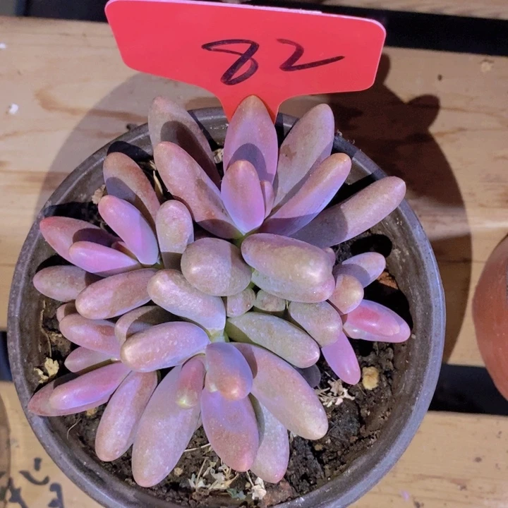 这么久不回来也没什么