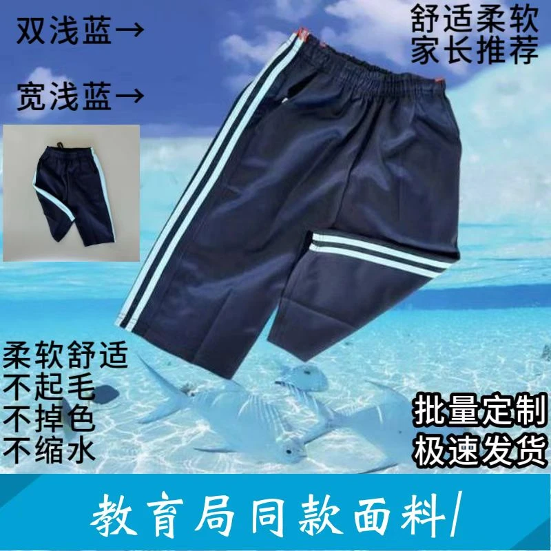 校服裤子藏蓝双浅蓝条小学生薄款二条浅杠初高中五分男女通用短裤