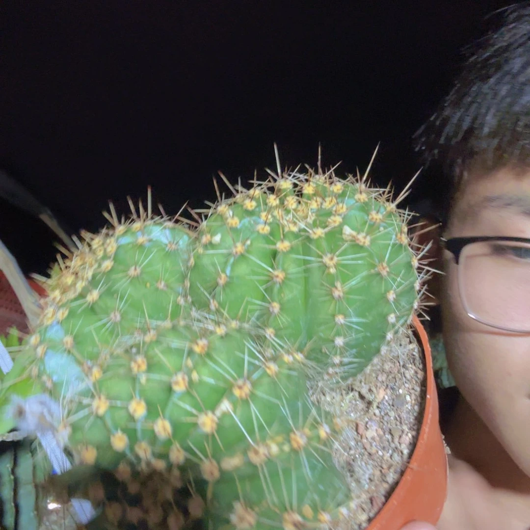 无花朵潮*哈哈哈哈哈哈哈