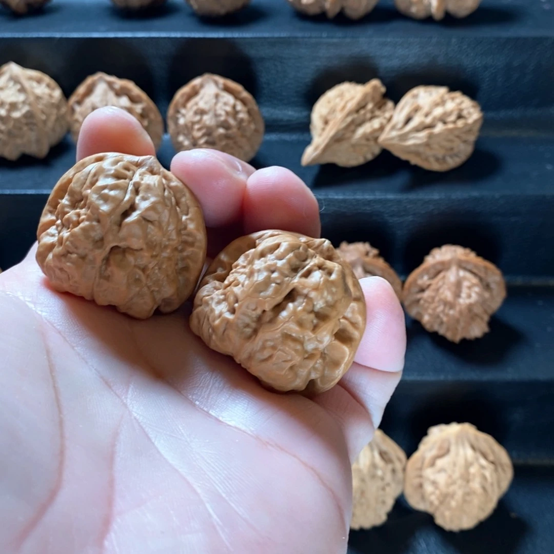 桃核把件锅****！山地蛤蟆38