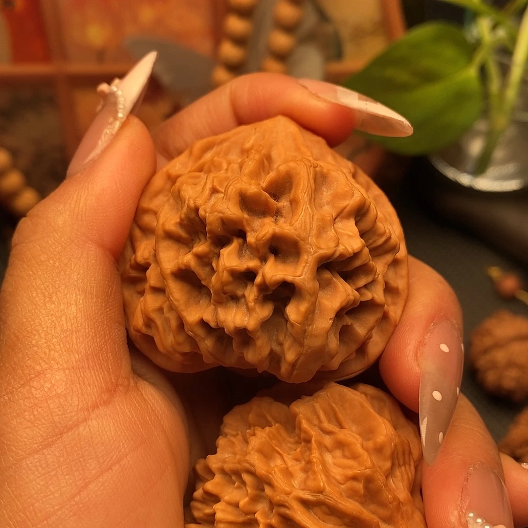 用***7核桃秦岭野生果官帽