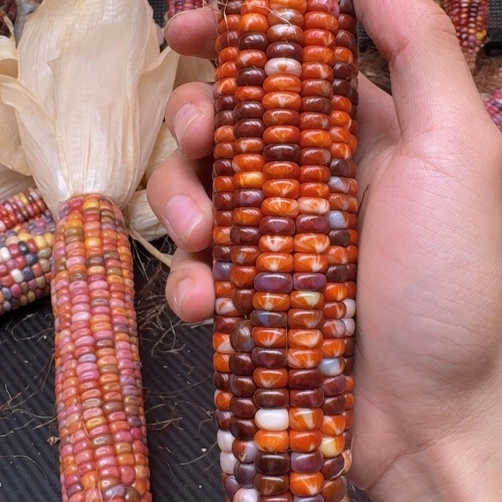 俊***俊柏香籽/百香籽吊坠