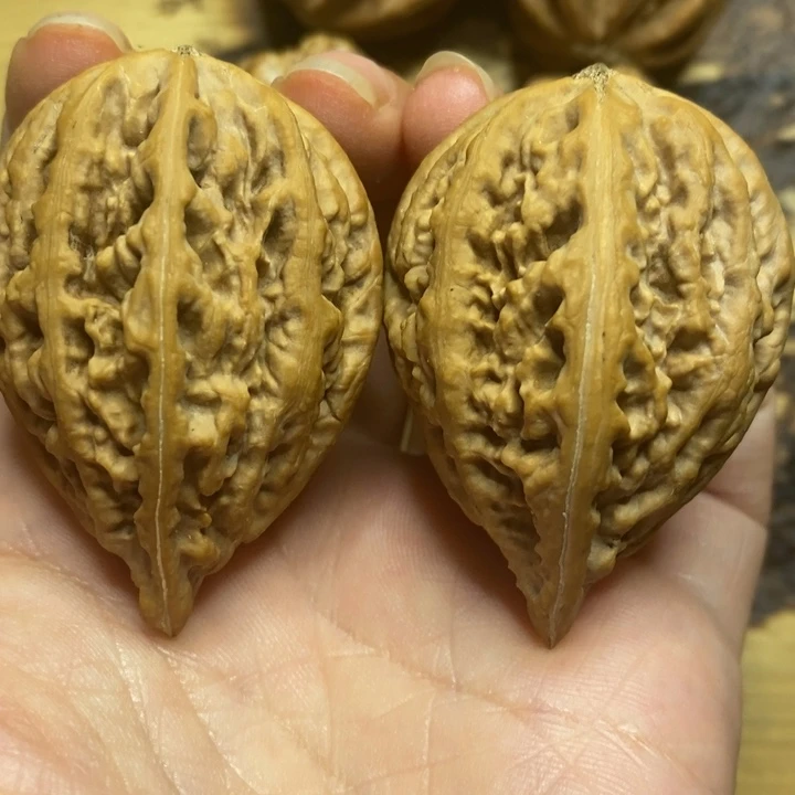 吊坠文玩核桃蚂蚁枪