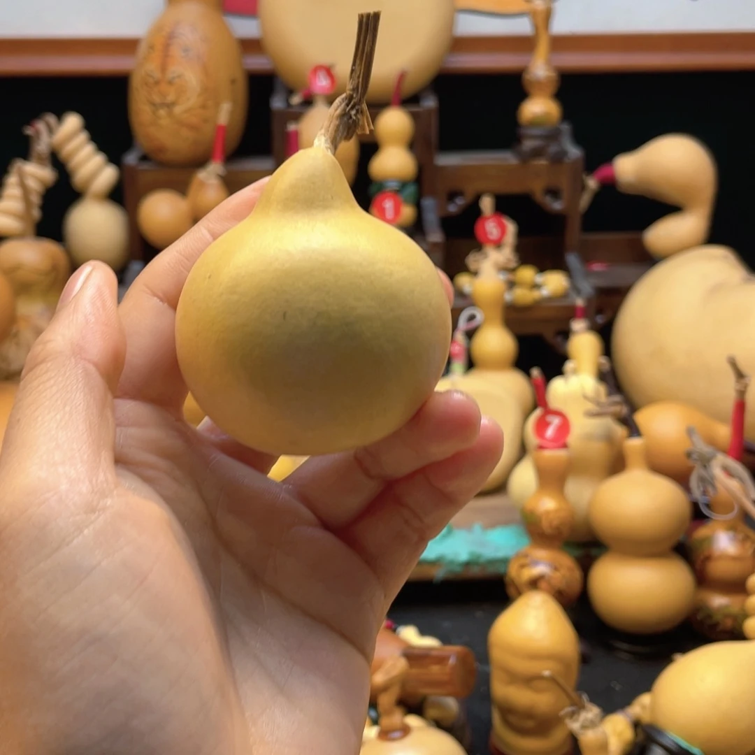 葫*豆大自然的秘密第十一