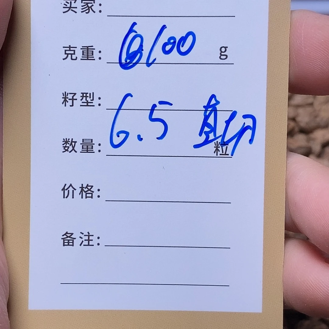 ****话柏香籽/百香籽吊坠