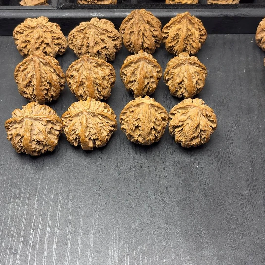 桃木突突突突突突突突