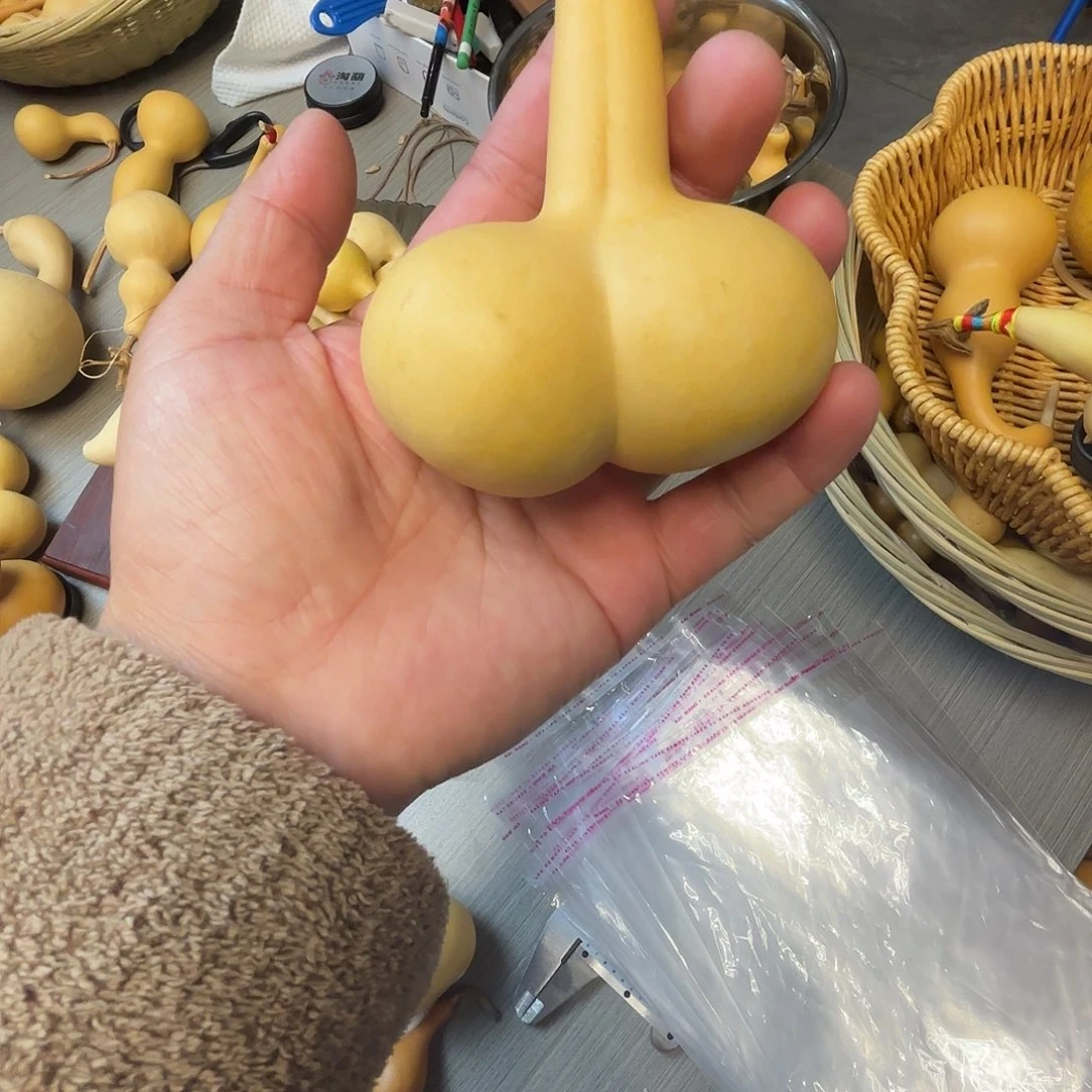 双胞胎连体葫芦葫芦123123