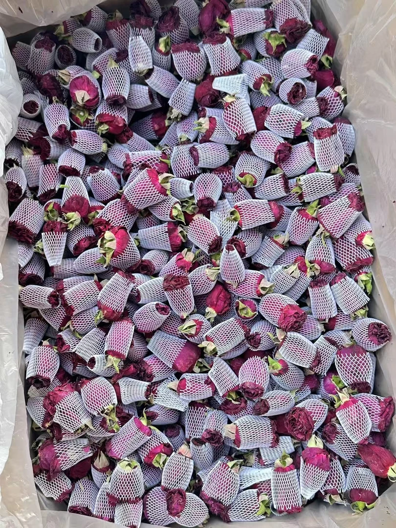 云南冻干墨红玫瑰