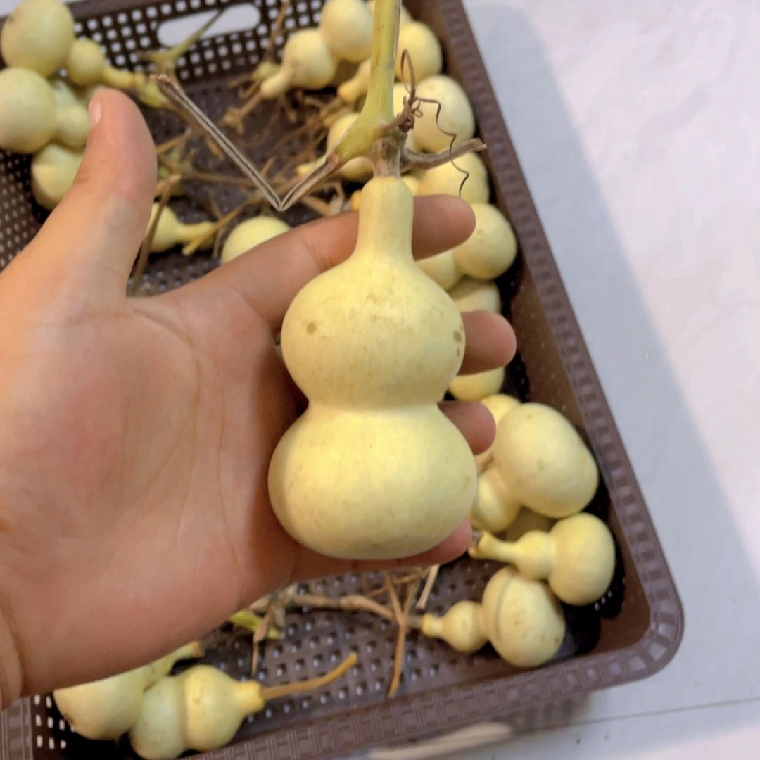 奋***斗感谢大哥支持兄弟不保