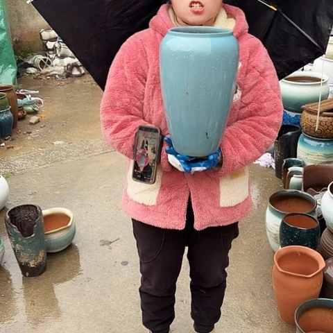 口17高33瑕疵盆子