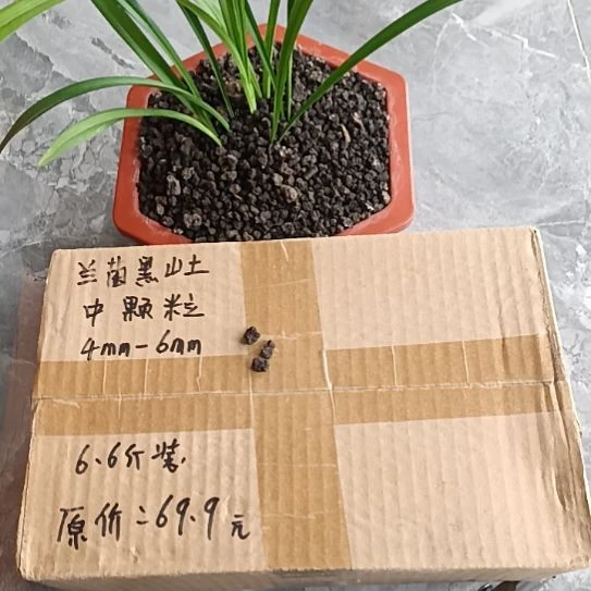 旭***3兰菌黑山土中颗粒6.6斤