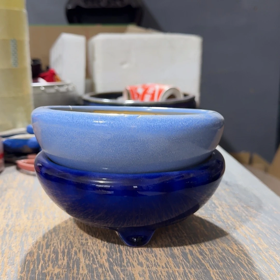 红陶波*?g g vvvvvvvvv