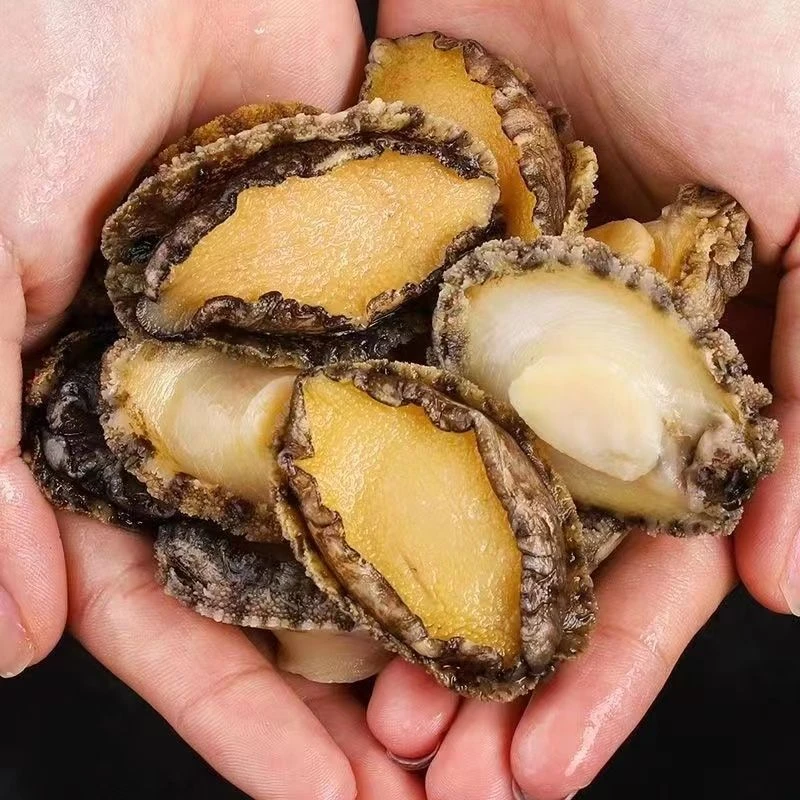 福建鲍鱼纯肉不包冰去壳去内脏速冻锁鲜顺丰包邮