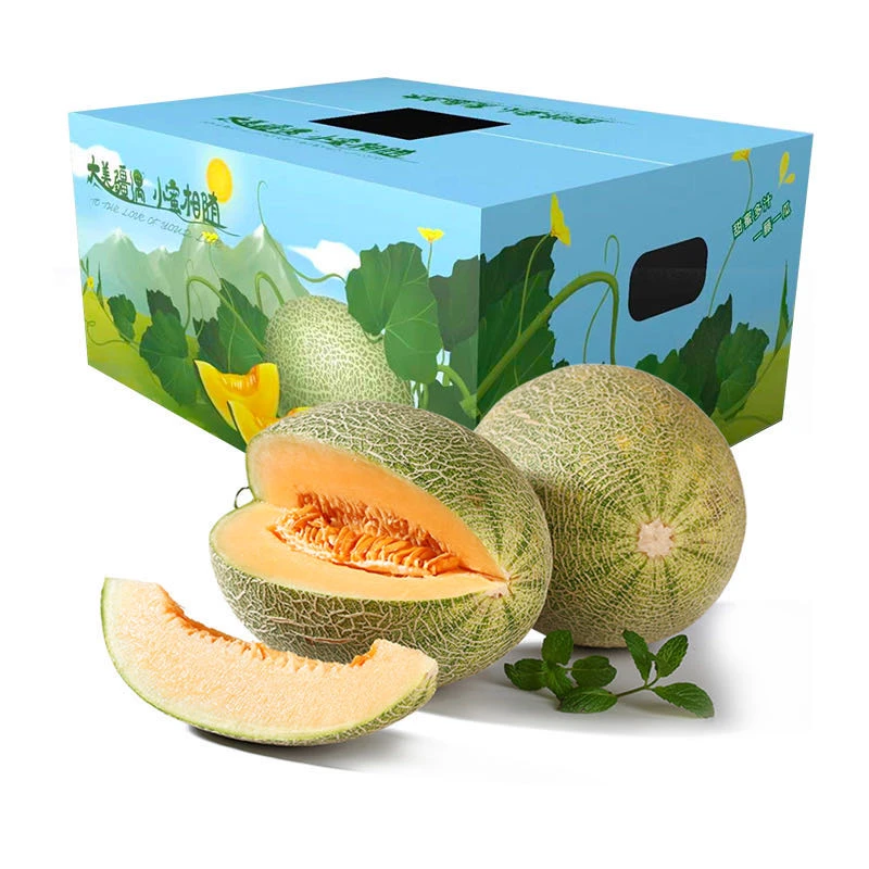 【赏美疆】新疆哈密瓜西州蜜25号甜瓜/顺丰特快