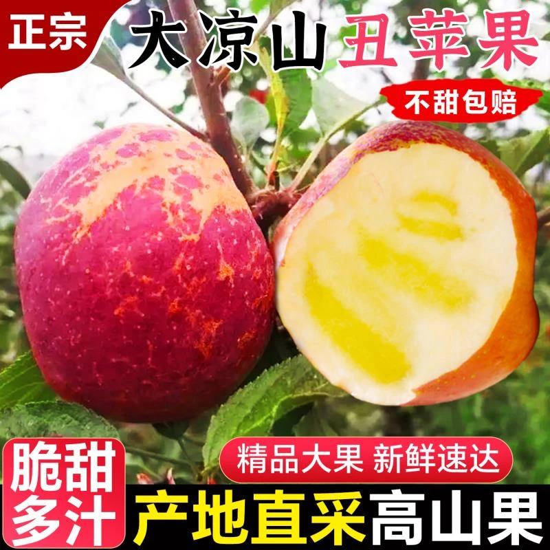 【现摘现发】冰糖心苹果四川大凉山盐源丑苹果富士苹果礼盒