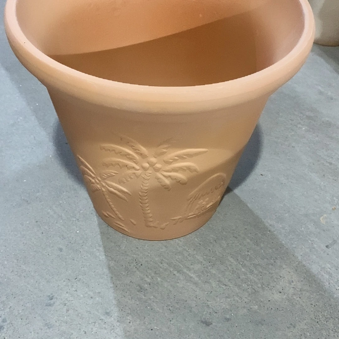 微瑕椰树20×19-1