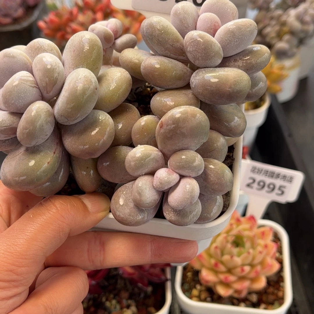 2996 满30包邮天冷地区必拍保温箱