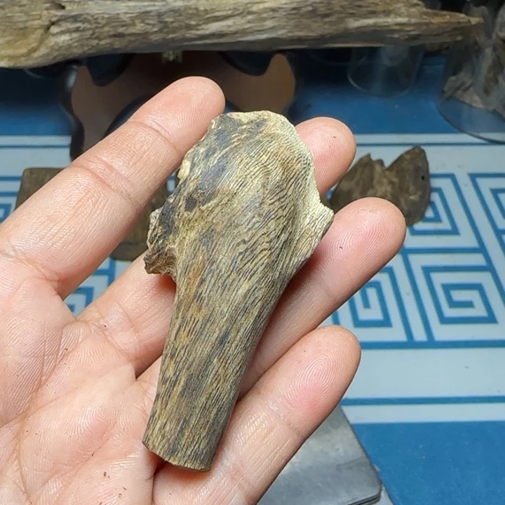 木质母树虎斑紫奇包头12克