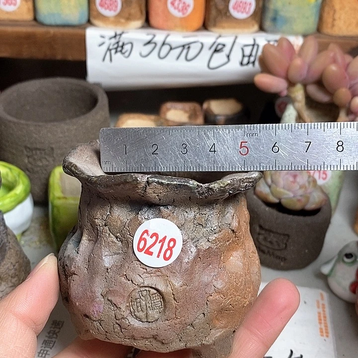 红陶拍5送一个小